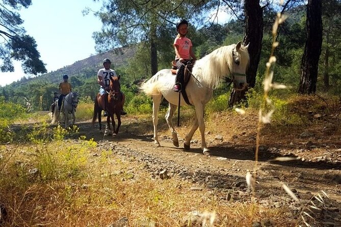 Horse Safari From Kemer - Feedback From a Satisfied Traveler