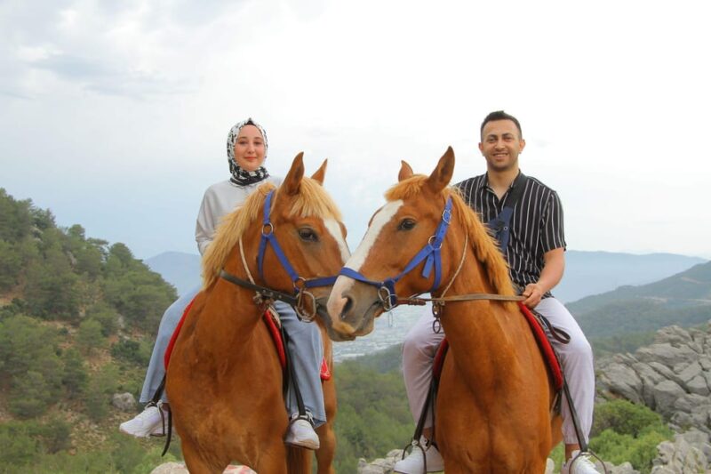 Horse Safari - Customer Reviews