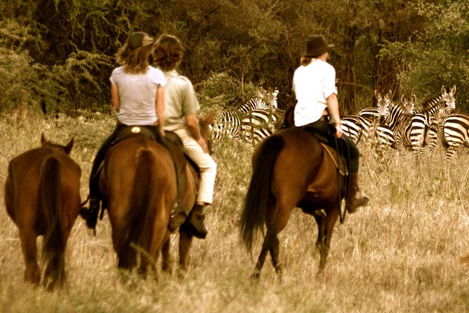 Horse Safaris in Tanzania - Experience Highlights