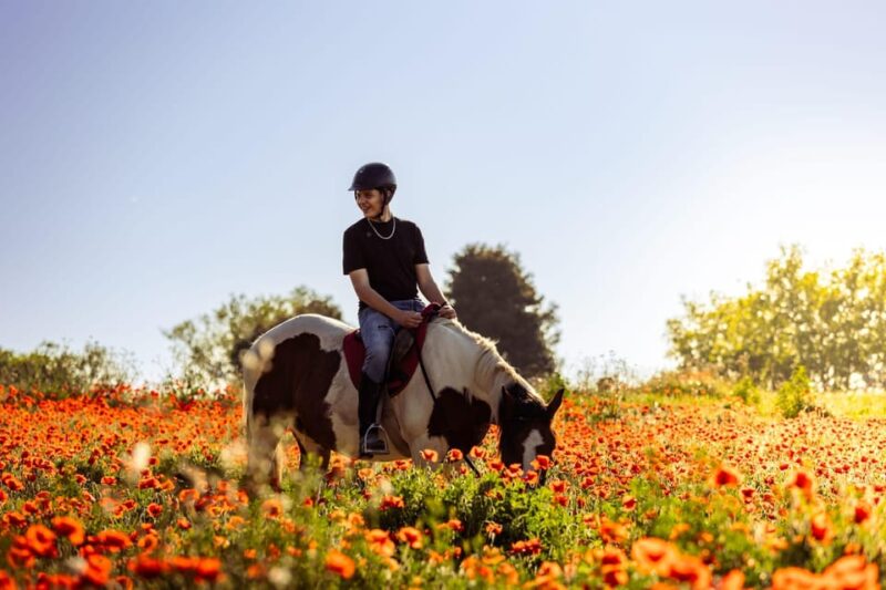 Horse Sanctuary in Rome - Participant Requirements