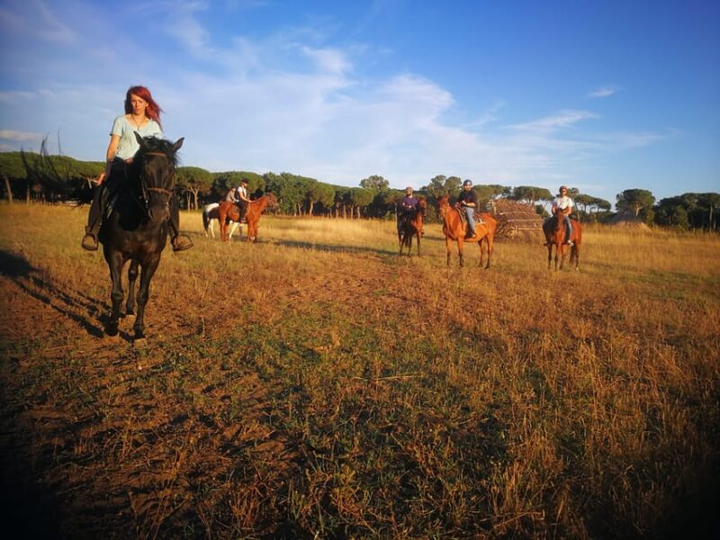 Horse Sanctuary in Rome - Meeting Point and Transport