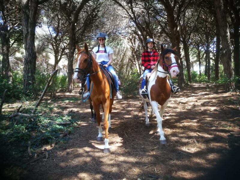 Horse Sanctuary in Rome - Additional Options Available