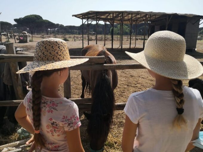 Horse Sanctuary in Rome - Frequently Asked Questions