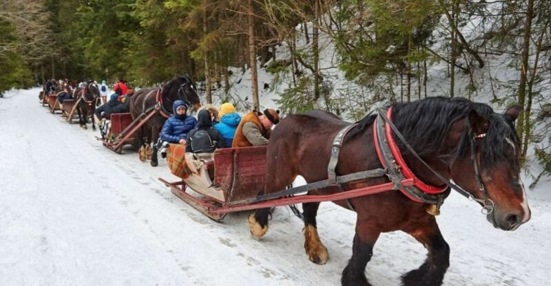 Horse Sleigh 2-3h Ride with Hot Springs or Zakopane Combos - Key Points