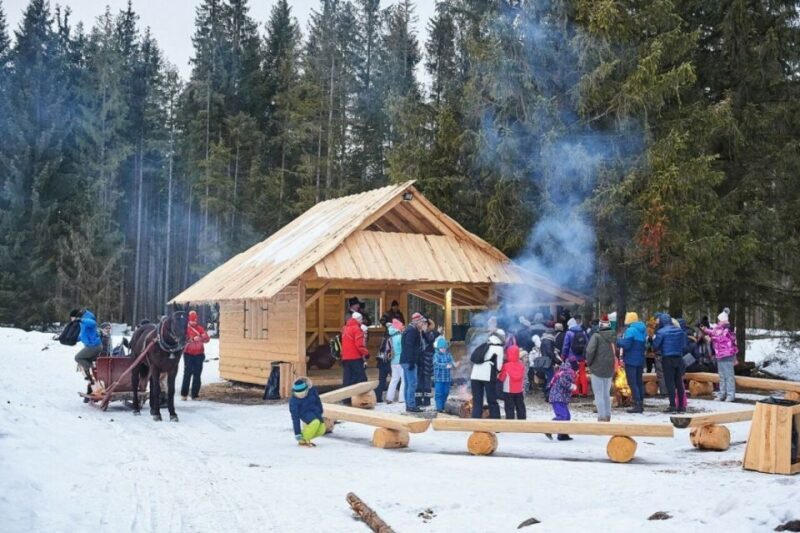 Horse Sleigh 2-3h Ride with Hot Springs or Zakopane Combos - The Experience in Practice