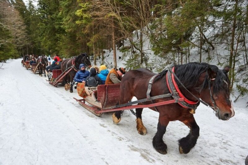 Horse Sleigh 2-3h Ride with Hot Springs or Zakopane Combos - Final Thoughts