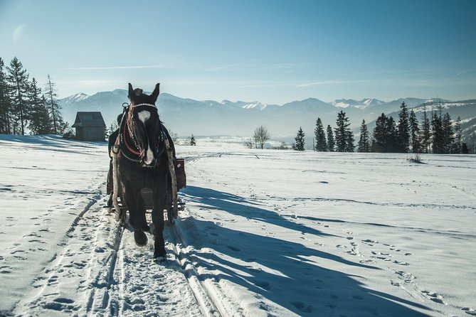 Horse Sleigh Ride in the Polish Countryside, Private Tour From Krakow - Exploring the Polish Highlands