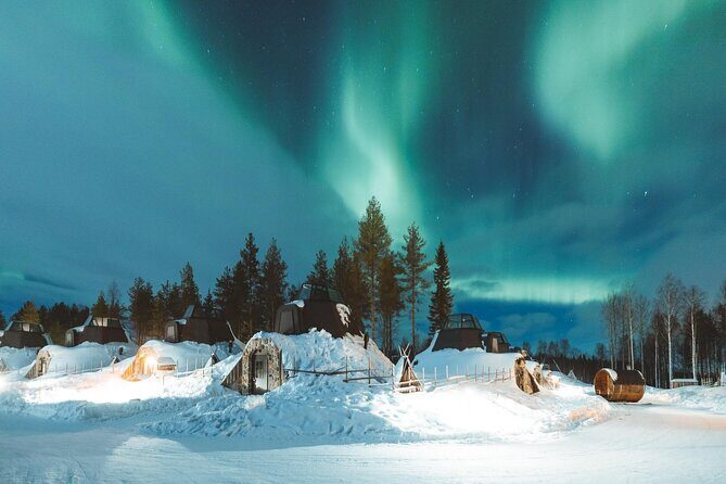 Horse Sleigh Ride Under The Night Sky in Apukka Resort, Rovaniemi - Key Points