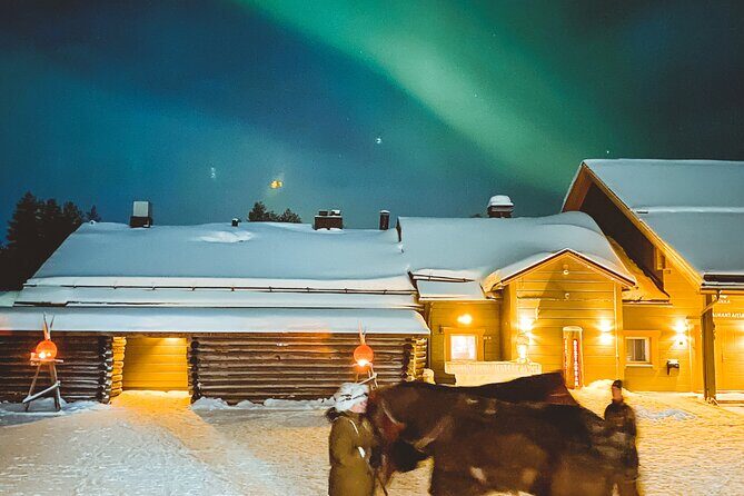 Horse Sleigh Ride Under The Night Sky in Apukka Resort, Rovaniemi - The Experience: A Nighttime Journey Through Lapland