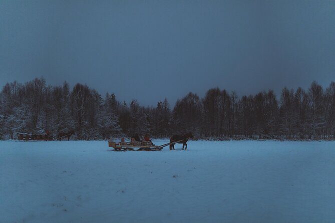 Horse Sleigh Ride Under The Night Sky in Apukka Resort, Rovaniemi - FAQ