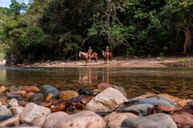 Horse Tour - Introduction