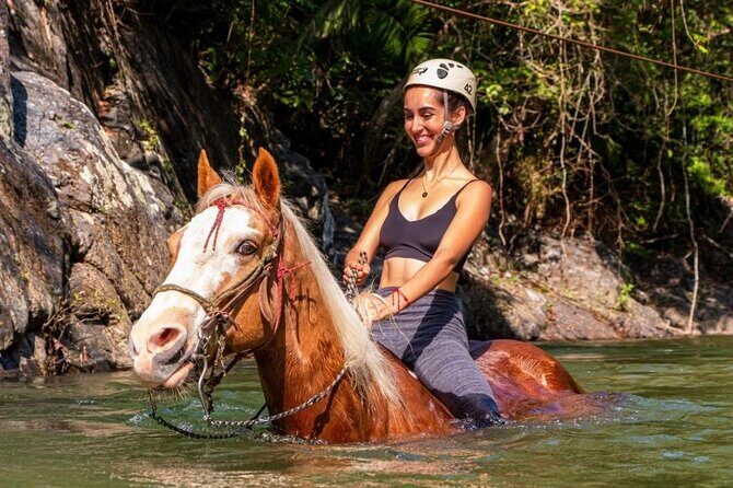 Horse Tour - Key Points  