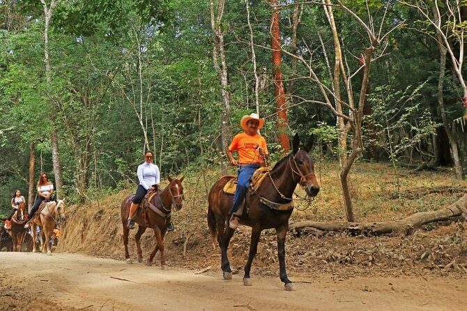 Horse Tour - The Value of This Experience  