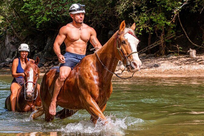 Horse Tour - Authenticity and Unique Aspects  