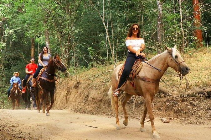 Horse Tour - The Sum Up  