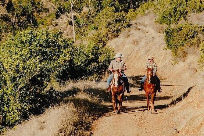 Horse Trail and Canyon Group Ride on Catalina Island - Overview of the Experience