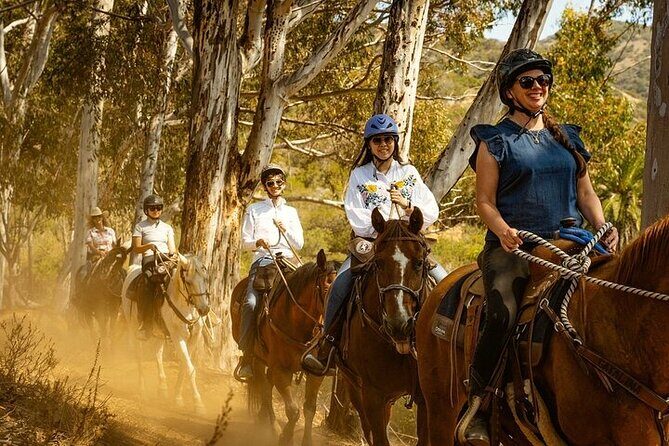Horse Trail and Canyon Group Ride on Catalina Island - Authenticity and Experience Quality