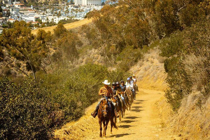 Horse Trail Overlook Group Ride on Catalina Island - Who Would Love This Experience?
