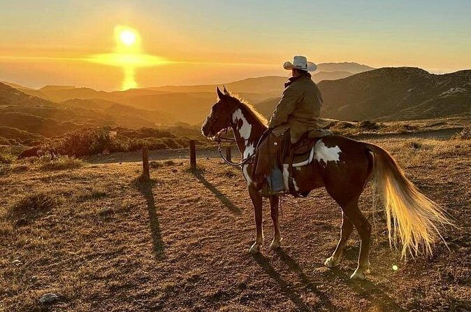 Horse Trail Overlook Group Ride on Catalina Island - FAQ