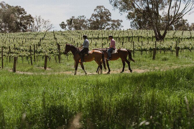 Horse Trail Ride and Wine Tasting at Adelaide Hills Winery - What to Expect From the Trail Ride