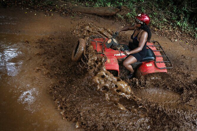 Horse Xtreme Wild - Key Points