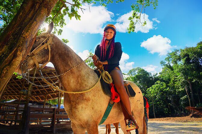 Horse Xtreme Wild - A Detailed Look at Horse Xtreme Wild