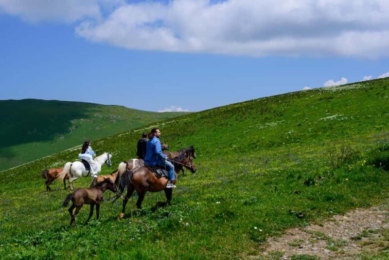 Horseback Adventure in Armenias Highland Pastures - Key Points