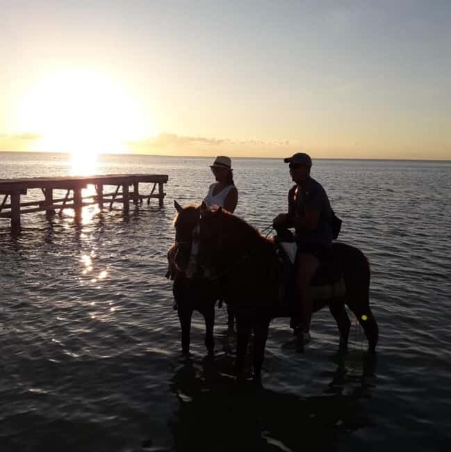 Horseback Adventure in Holbox - Key Points