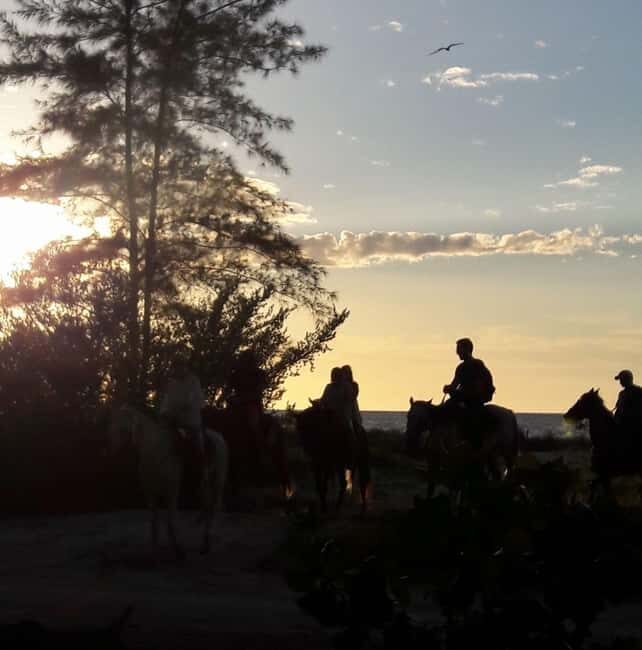 Horseback Adventure in Holbox - What to Expect from the Horseback Ride