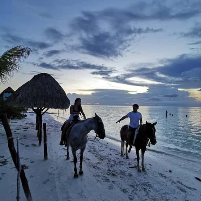 Horseback Adventure in Holbox - Who Will Love This Tour?