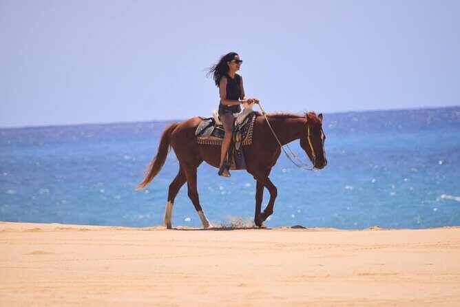 Horseback Adventures - Horseback Adventures in Cabo San Lucas: A Detailed Review