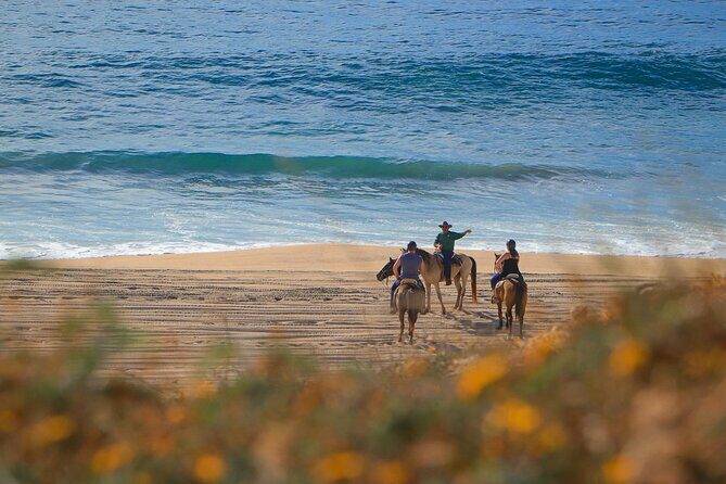 Horseback Adventures - An Overview of the Experience: What’s in Store
