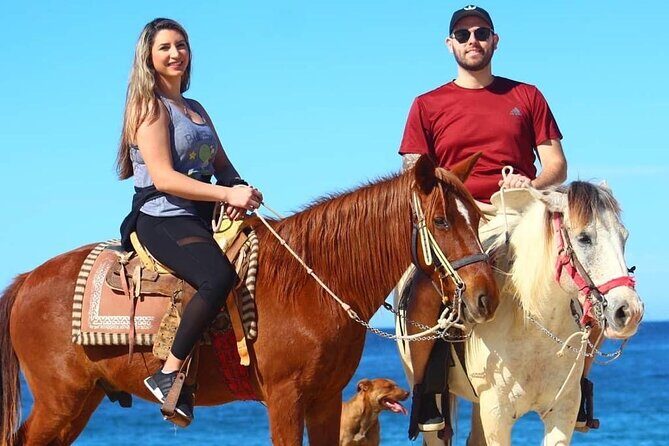 Horseback Adventures - Why This Tour Makes Sense for You