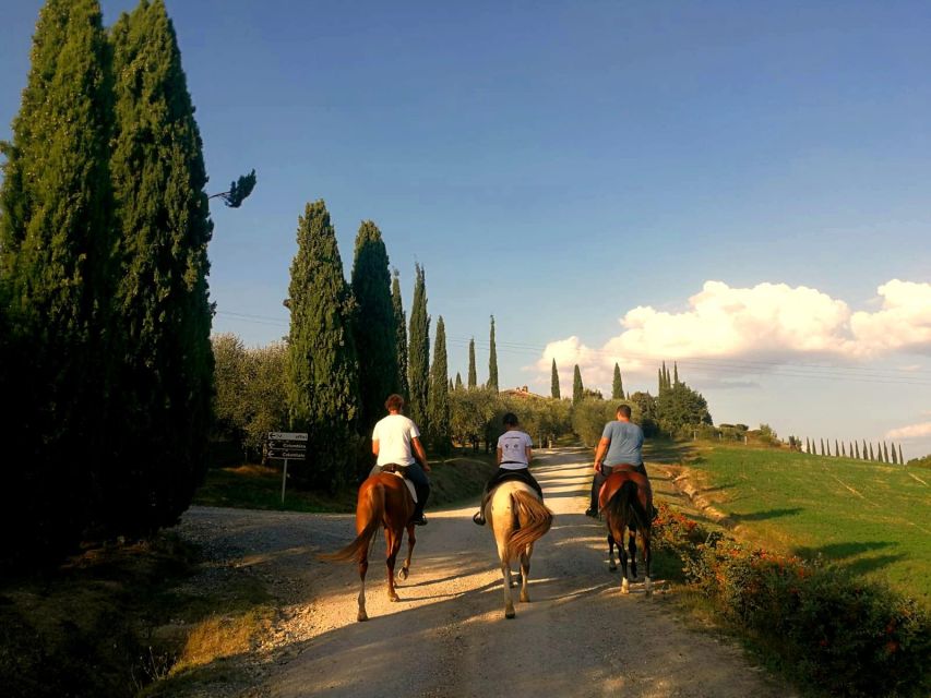 Horseback And Wine Tasting In Tuscan Countryside - Experience Highlights
