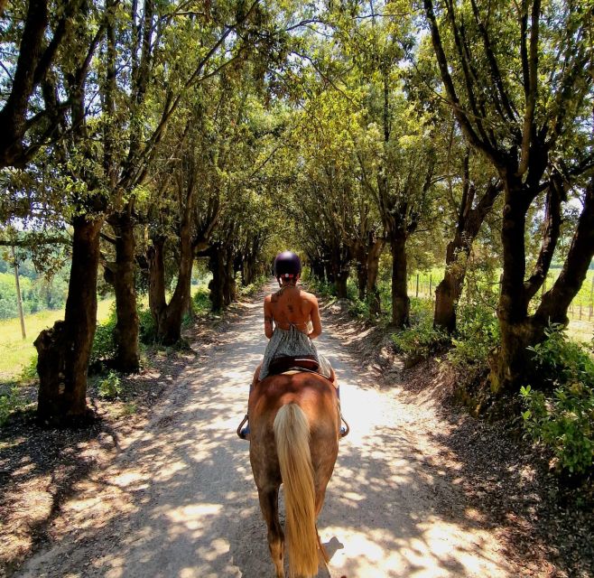 Horseback And Wine Tasting In Tuscan Countryside - Activity Inclusions