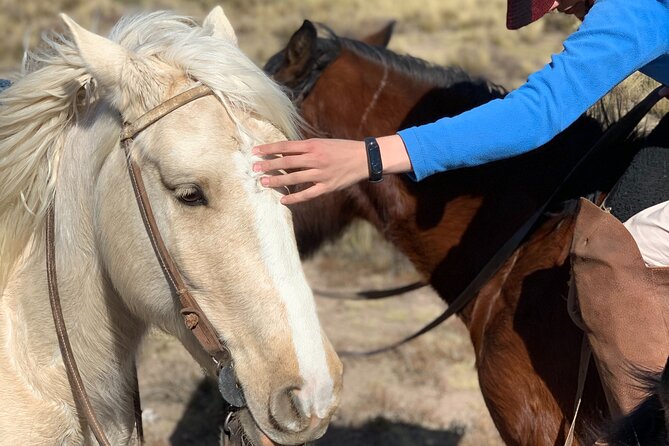 Horseback Expedition to the Andes, 2 Days. Sleep in the Heart of the Mountain. - Booking Information