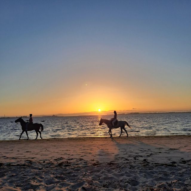 Horseback Marriage Proposal on the Beach - Booking and Payment