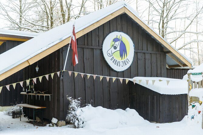 Horseback ride (1 hour) - The Trail and Scenery: Why It’s Special