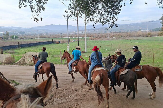 Horseback Ride and Carne Asada Ranch Experience in Ensenada - Cultural and Personal Touches
