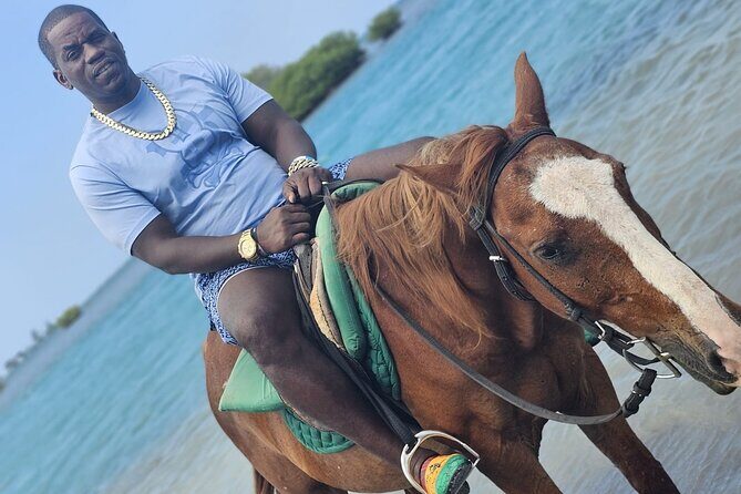 Horseback Ride and Swim Experience Montego with Transportation - The Sum Up