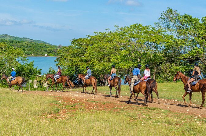 Horseback Ride and Swim from Ocho Rios - FAQ