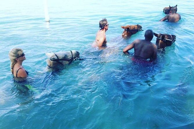 Horseback Ride and Swim From Ocho Rios - What to Expect from the Tour