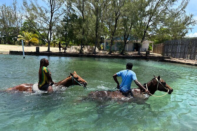 Horseback Ride and Swim Guided Tour from Montego Bay - What the Tour Offers: An In-Depth Look