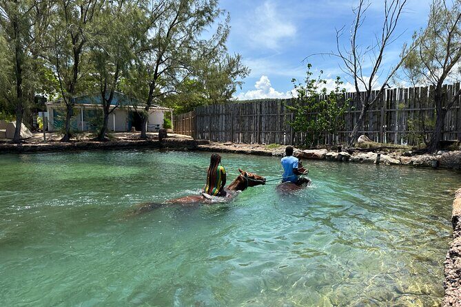 Horseback Ride and Swim Guided Tour from Montego Bay - FAQ