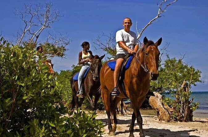 Horseback Ride and Swim Private Tour from Montego Bay - Frequently Asked Questions
