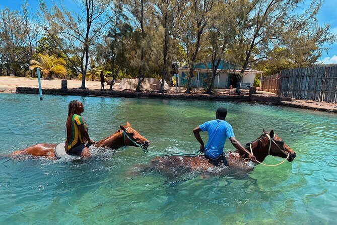 Horseback Ride and Swim Private Tour In Montego Bay - What to Expect from the Horseback Ride and Swim Tour in Montego Bay