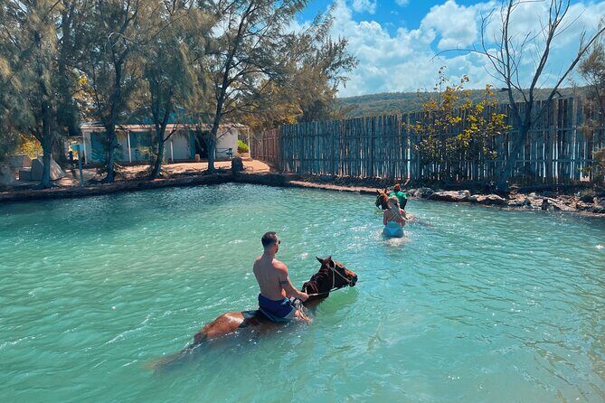 Horseback Ride and Swim Private Tour In Montego Bay - Who Will Love This Tour?