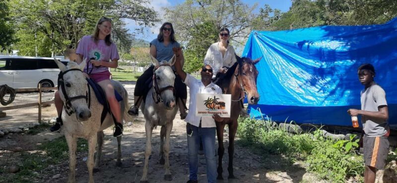 Horseback Ride, Blue Hole, Dunn's River and Tubing Tour - Final Thoughts: Is This Tour for You?
