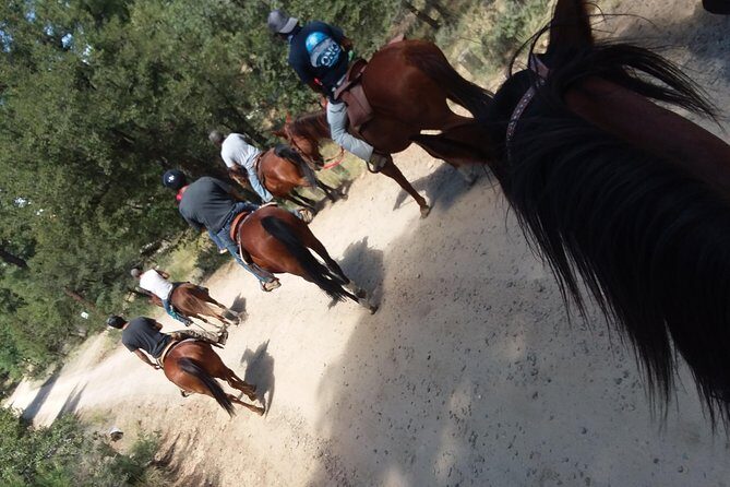 Horseback Ride for 2 or more - The Sum Up: Who Is This Horseback Ride Perfect For?