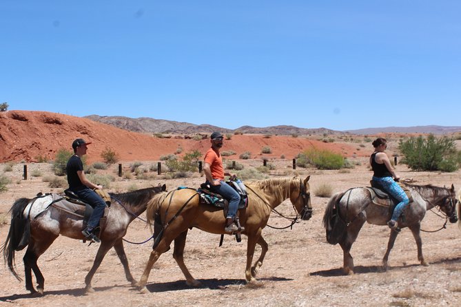 Horseback Ride in Las Vegas - Rider Requirements